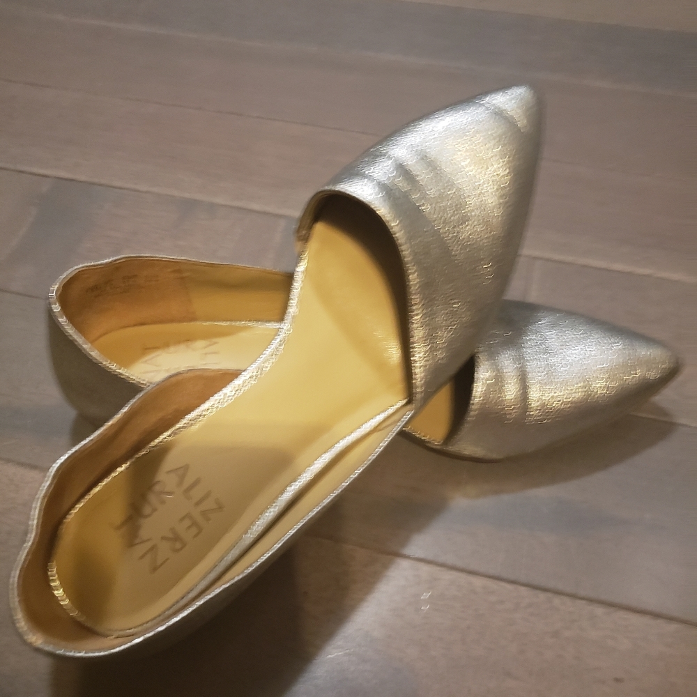 silver Naturalizer flats, size 7.5